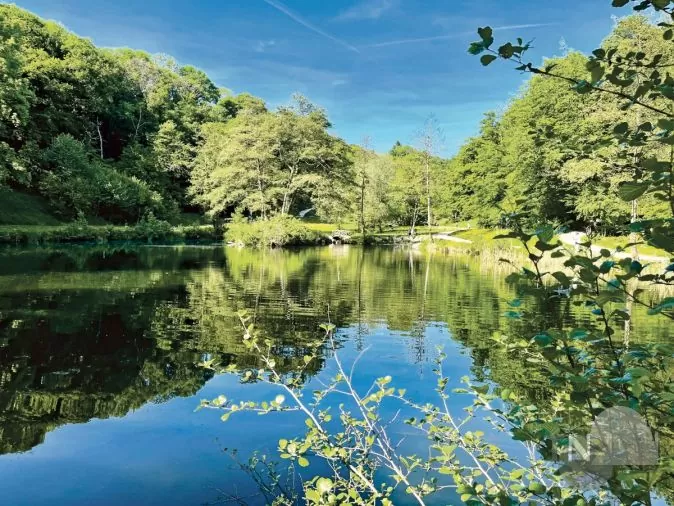 Benefizlauf Königstein in schöner Landschaft
